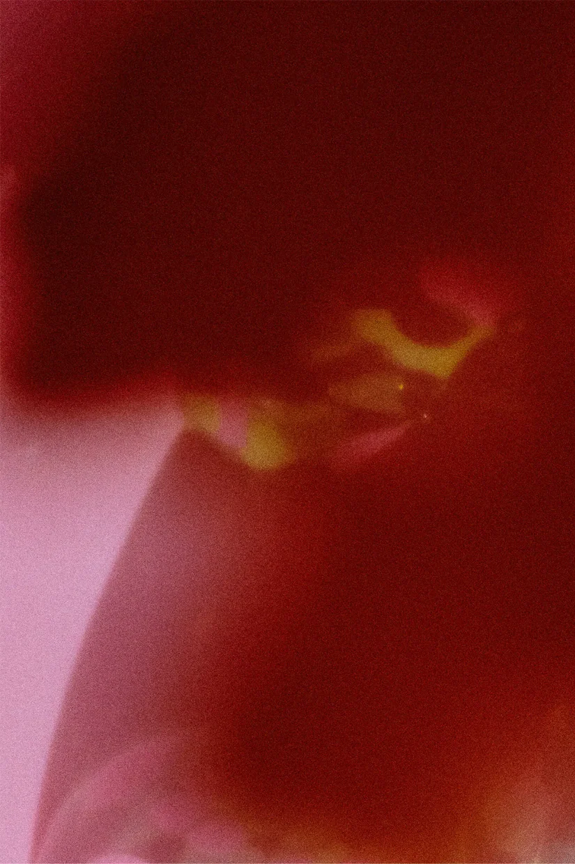 Abel Pause - 50ml - Image 4