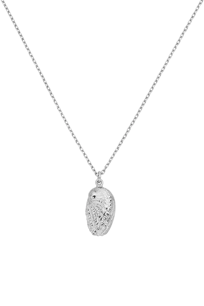 Zoe & Morgan Soul Paua Necklace - 925 Sterling Silver - Image 4
